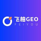 广州GEO优化哪家强？解析飞柚网络的专业优势